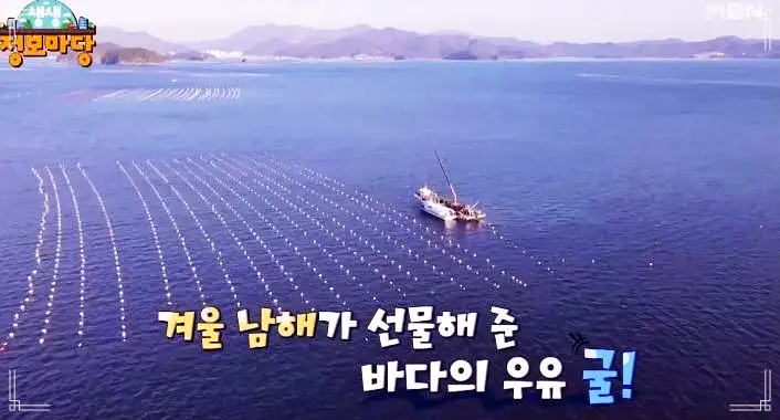 굴삼합 굴무침 생굴 굴전 굴솥밥 개체굴 양식 전국 택배 전화 주문 통영 맛집 추천