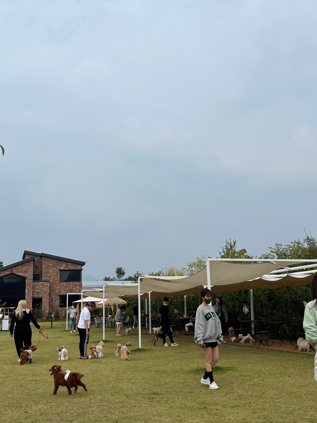 alt 태그