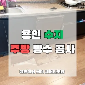 새어나오다 세어나오다 맞춤법 뜻 유래_9