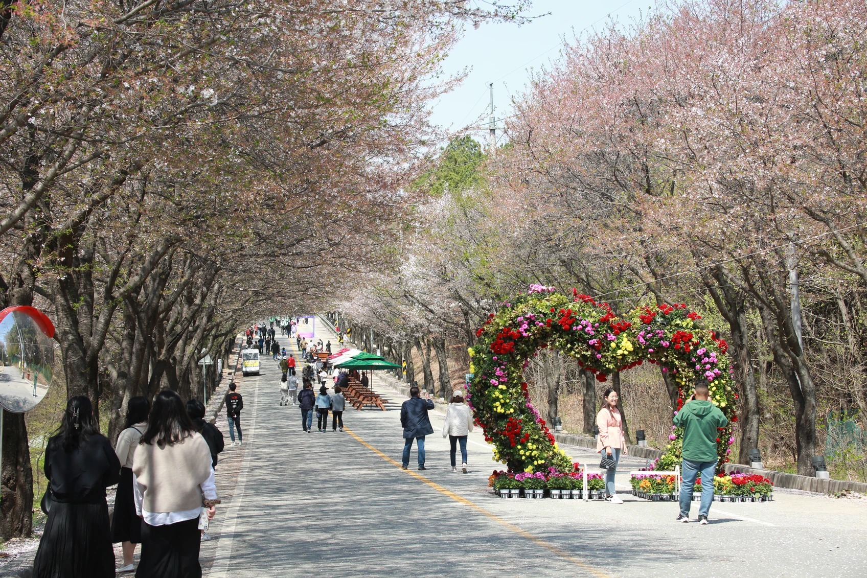 여주흥천남한강 벚꽃축제