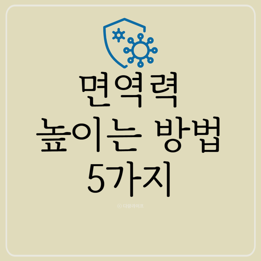 면역력 높이는 방법 5가지 면역력올리는법 면역력높이는방법