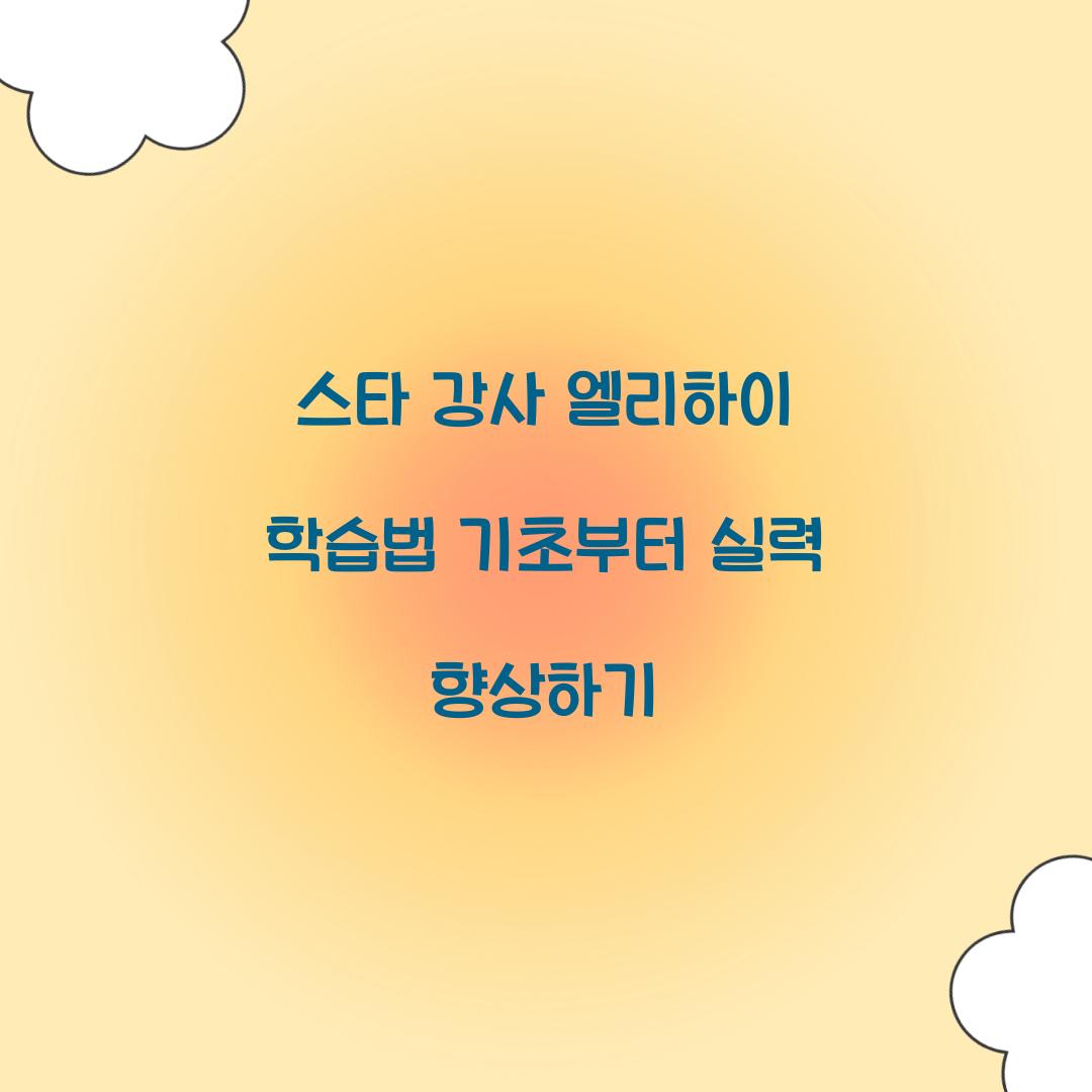 스타 강사 엘리하이 학습법