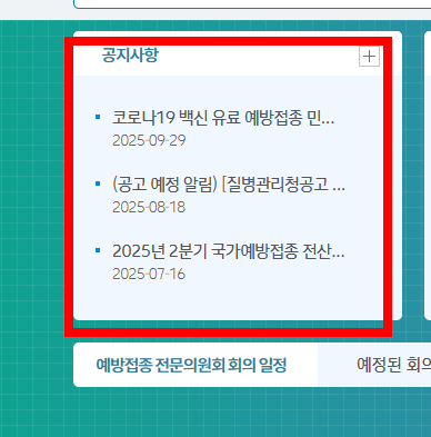 75세이상 독감 예방접종 대상&amp;#44; 시기 알아보기