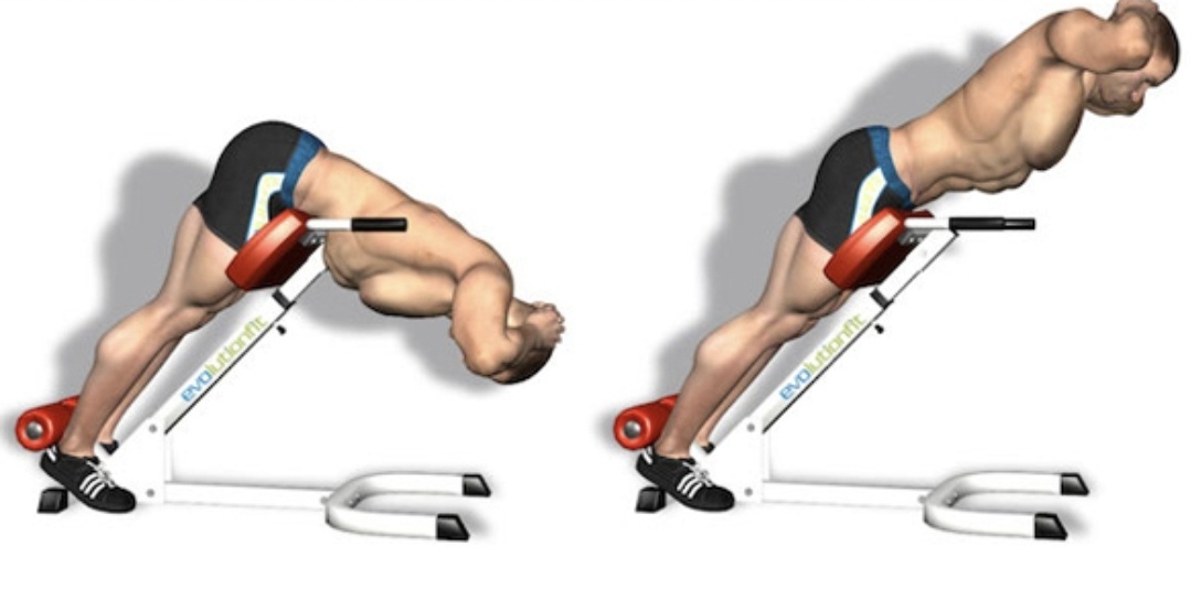 허리디스크에 좋은 근육 강화운동