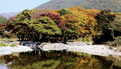 배내골