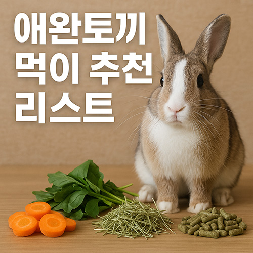 애완토끼-먹이-추천-리스트