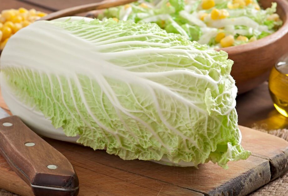 당뇨환자 배추
배추 칼슘흡수