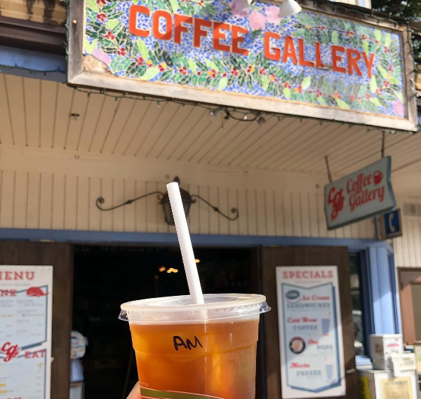 노스쇼어-커피갤러리