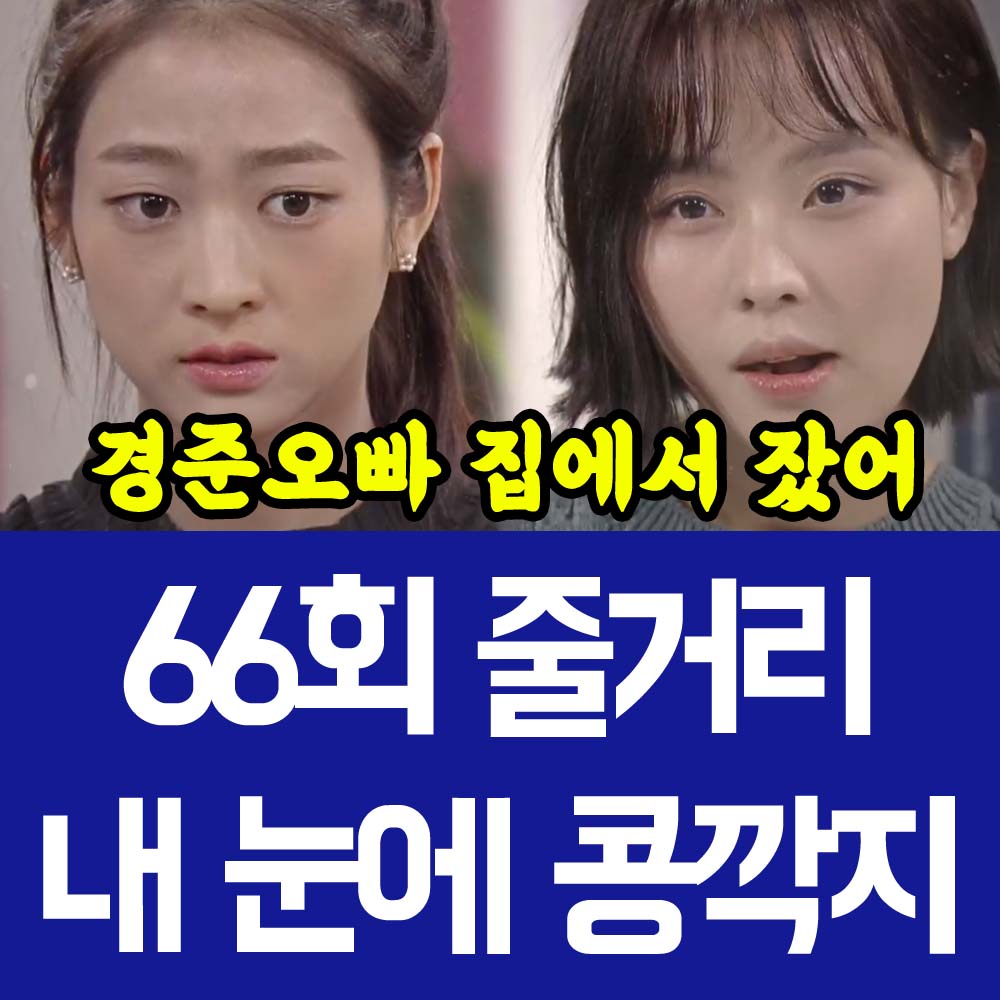 내 눈에 콩깍지 66회