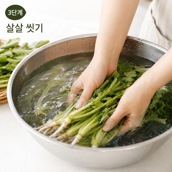 열무김치 맛있게 담그기