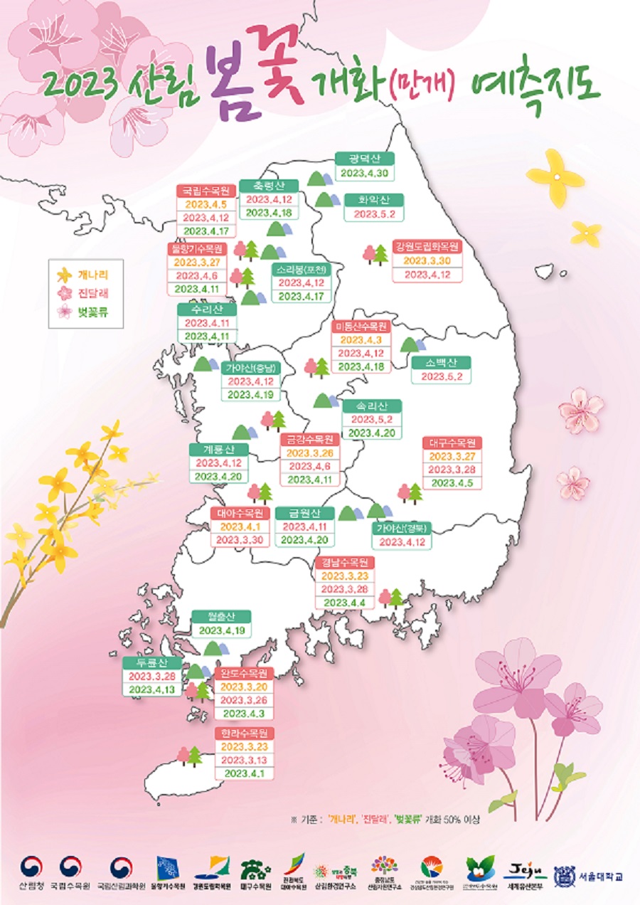2023 봄꽃 개화시기