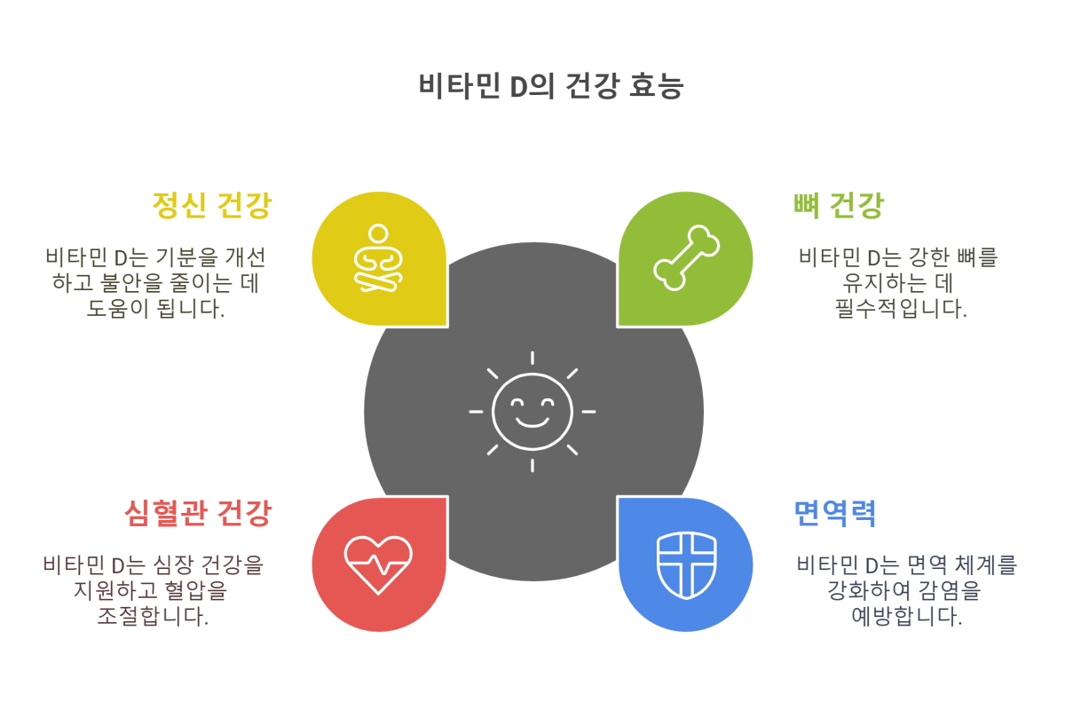 비타민D 효능