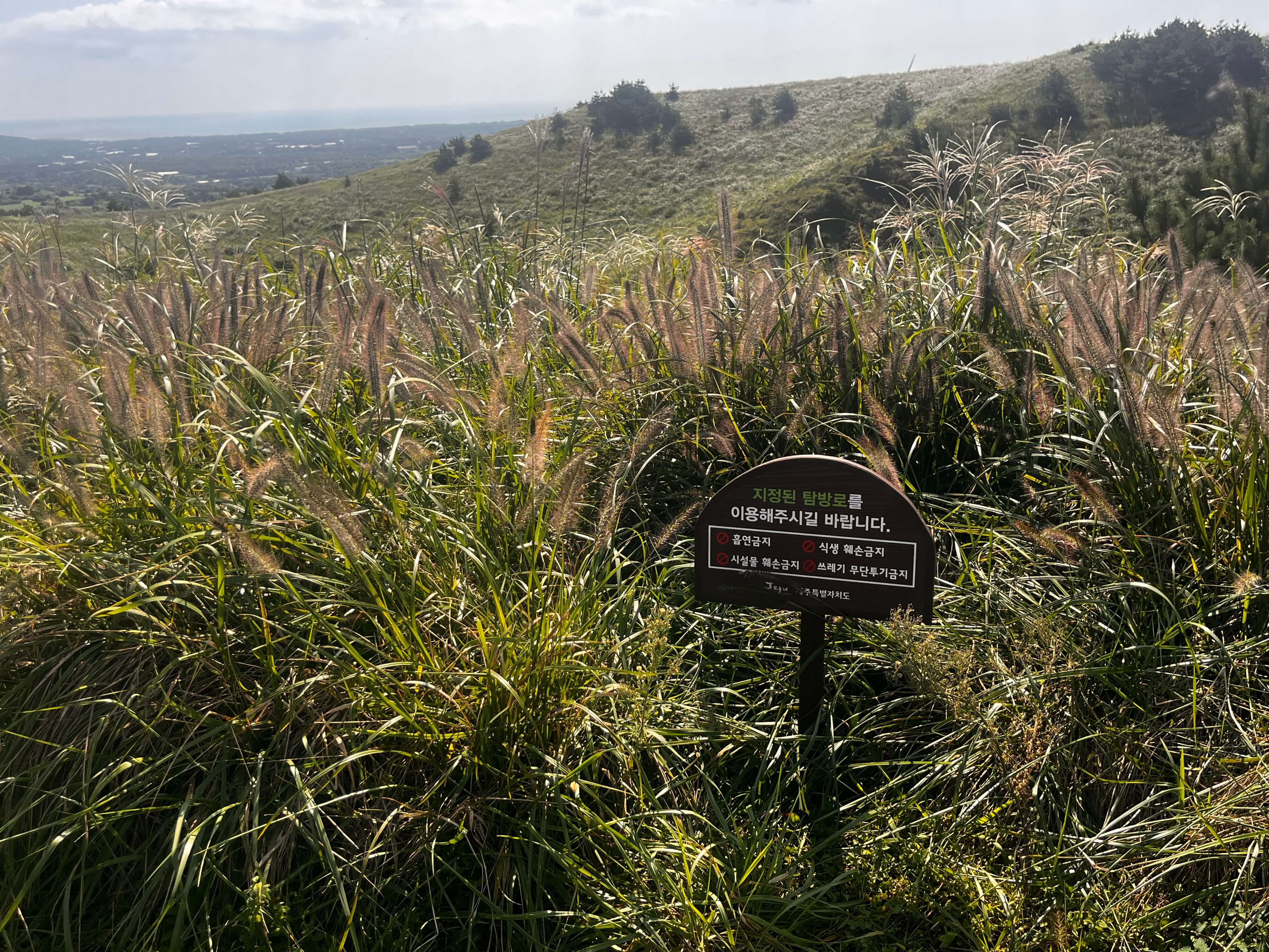 제주도 렌트카 추천 렌트전 체크해야할 사항