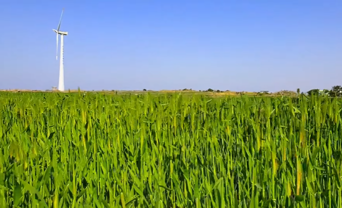 국내 봄 여행지
