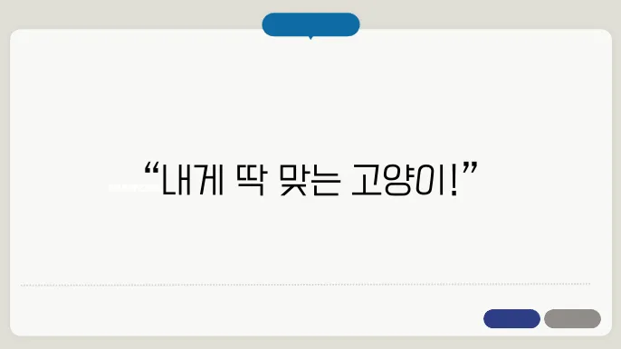 어떻게 글로구? 마게 vs 창 vs 랙돌, 가장 나에게 맞는 고양이는?