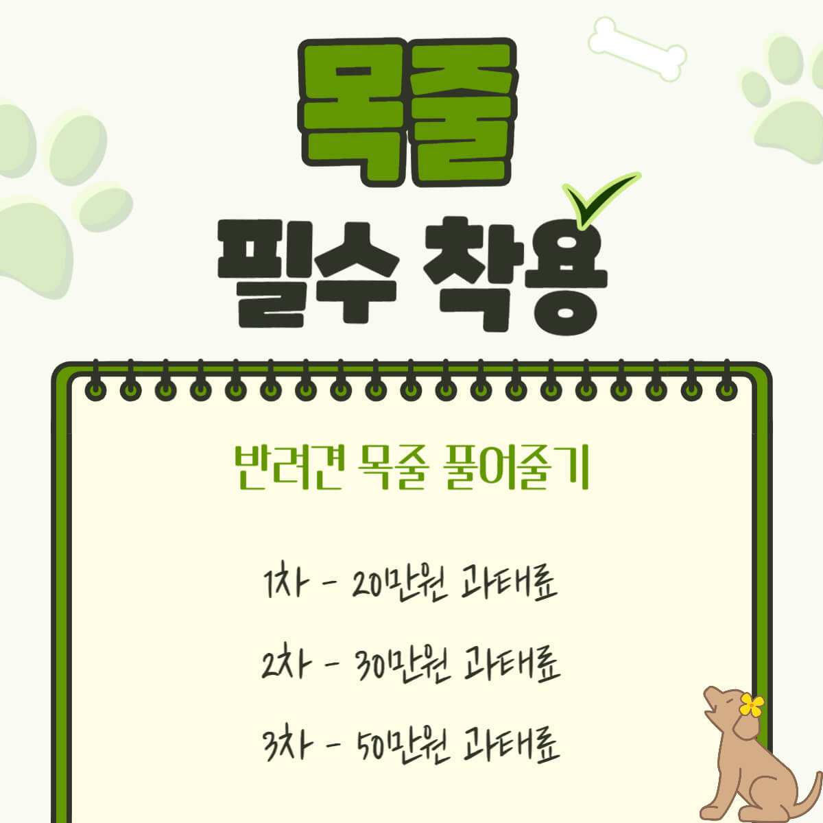 강아지 반려견 동물보호법 벌금 및 과태료 총 정리