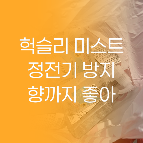 헉슬리 헤어 미스트 써보니 정전기 방