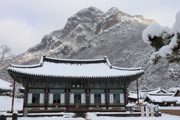 전라도 겨울 트레킹 명소 BEST 5, 남도에서 만나는 고요한 숲길 여행