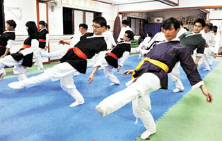 택견 발차기 종류_아랫발질