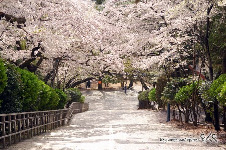 제황산 공원