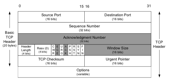 TCP Header