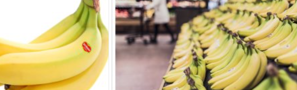 바나나 보관법을 보여주기 위한 바나나 배열모습