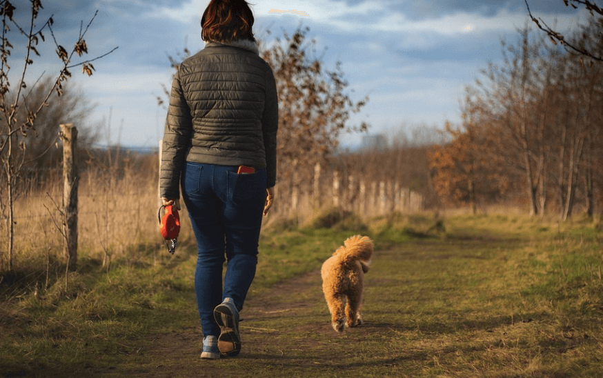 걷기 운동 효과를 보기 위해 걷고 있다.-5
