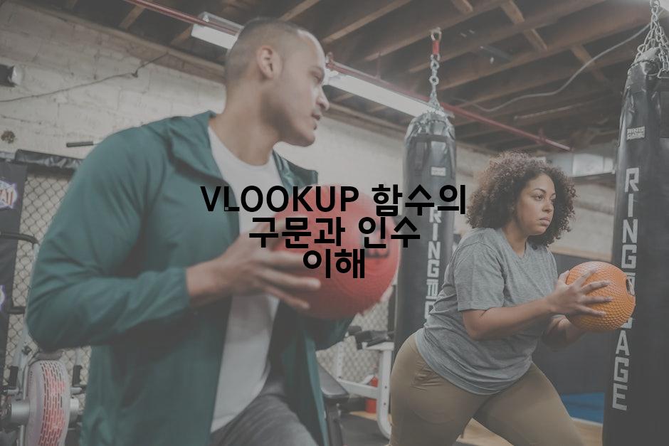 VLOOKUP 함수의 구문과 인수 이해