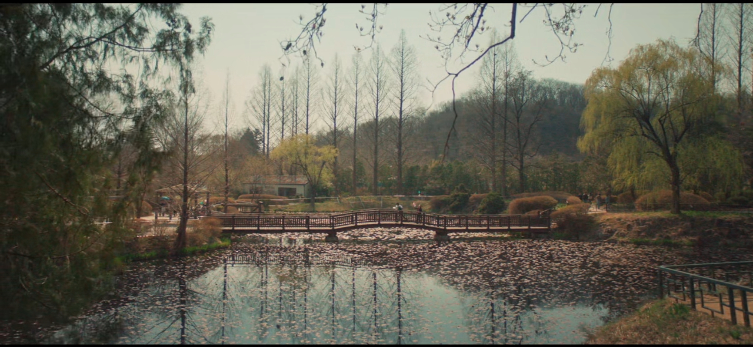 드라마에서 나온 전주동물원 속 호수 다리 풍경