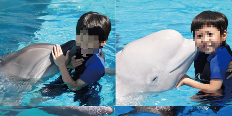 거제 씨월드 체험