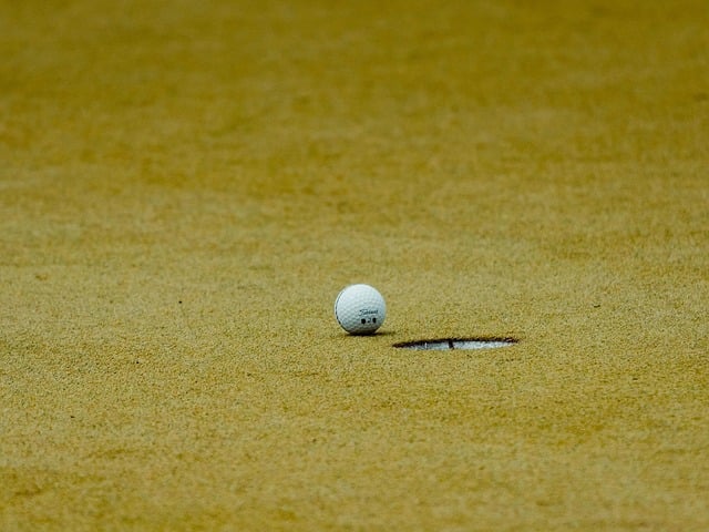 2026 진해군항제 벚꽃축제