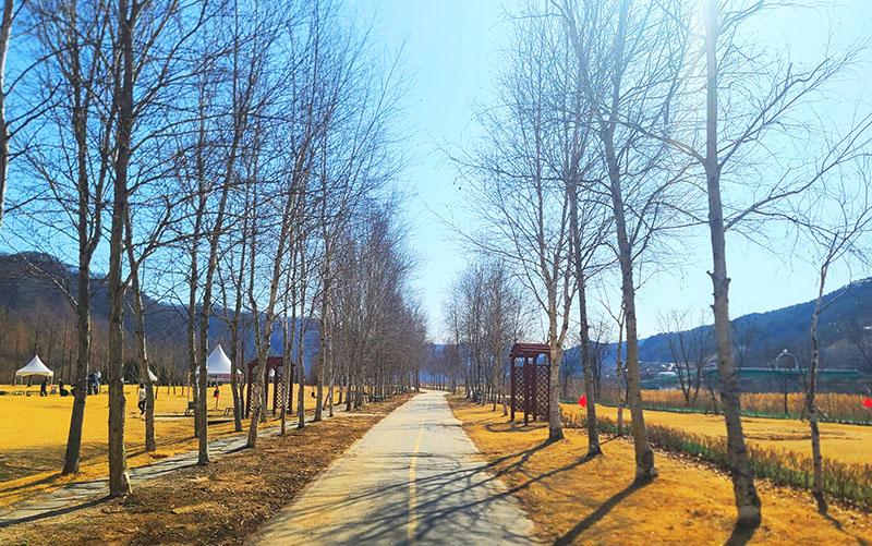 거례리 산천어파크골프장 (화천산천어파크골프장)