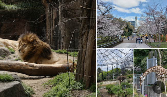 오사카 가족여행 코스 추천 (아이랑 가기 좋은 일정 완벽 가이드)