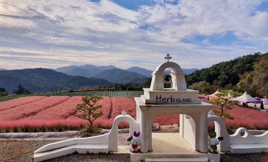 허브 아일랜드 핑크뮬리축제