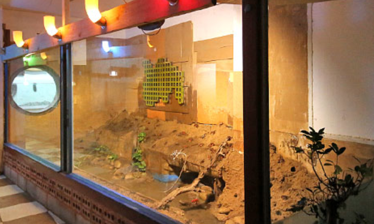 속초 테라크랩팜