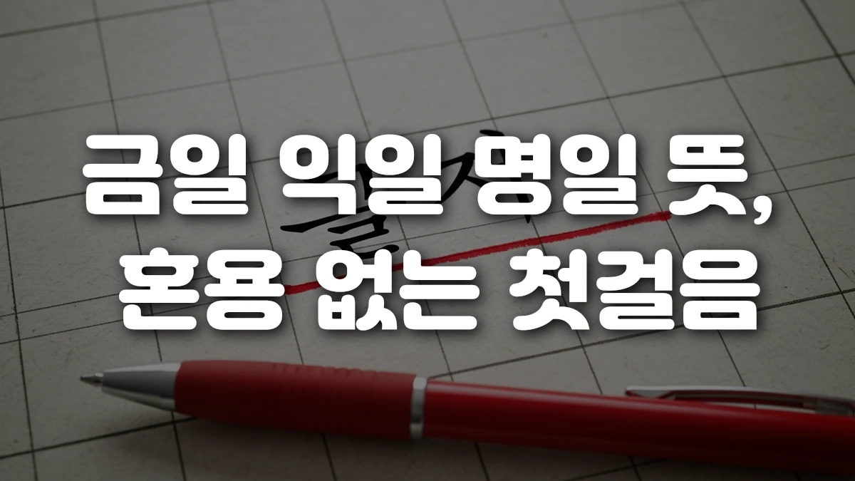 금일 익일 명일 뜻 혼용 없는 첫걸음