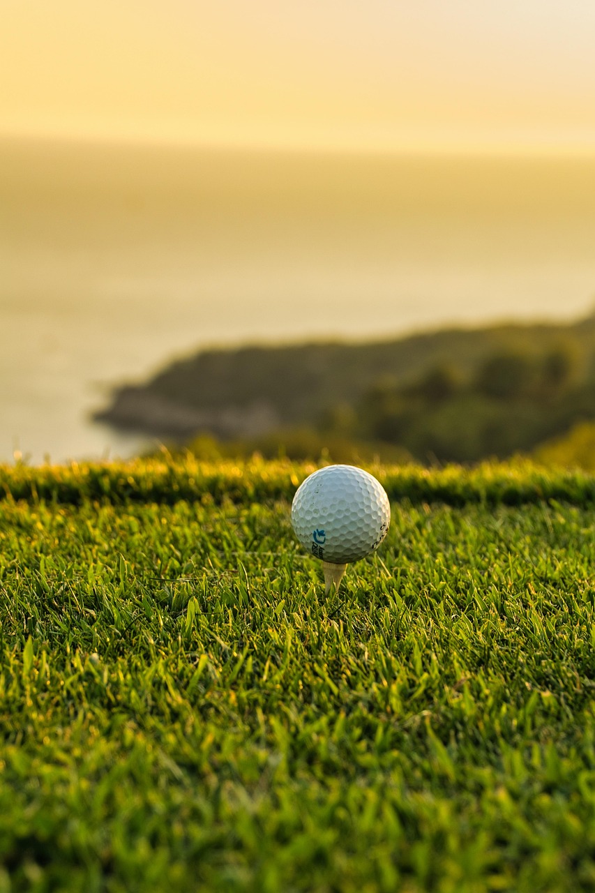 골프장 골프공 사진