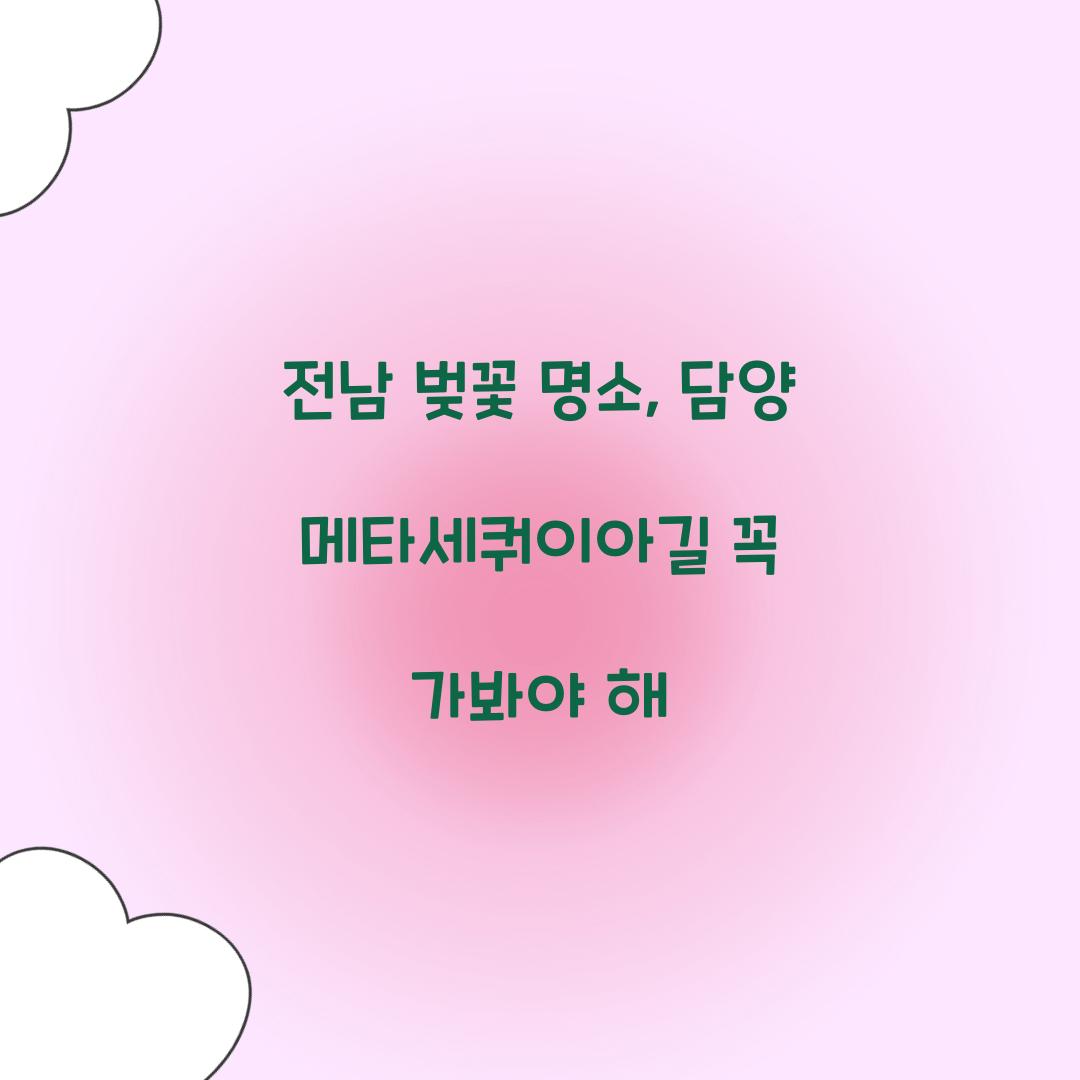 전남 벚꽃 명소