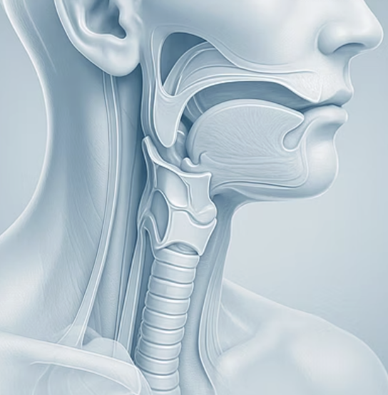 목이부었을때 꿀물&amp;#44; 소금물 가글&amp;#44; 도라지차&amp;#44; 어떤 게 가장 효과 빠를까?