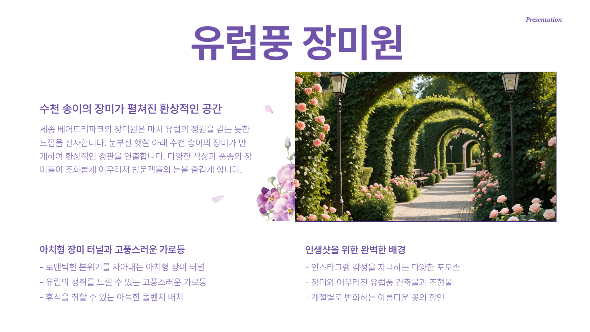 세종 베어트리파크 수목원 장미축제