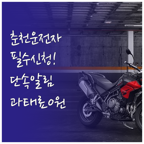 춘천시 주정차단속알림 문자 서비스 신..