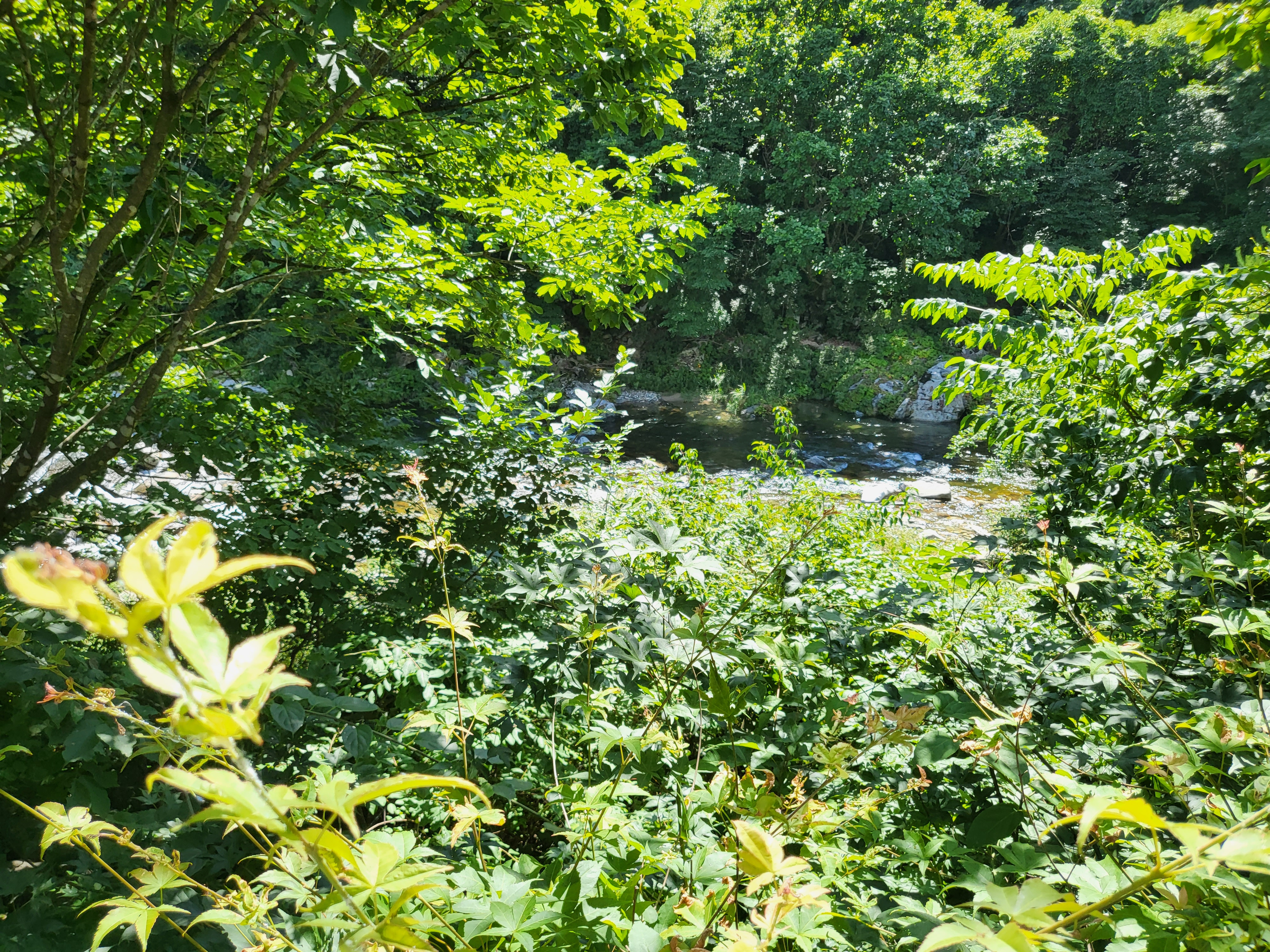 루루키즈팬션 - 다이닝룸 전경