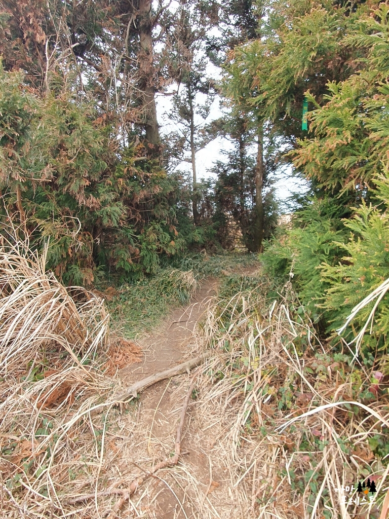 손지오름 정상 입구