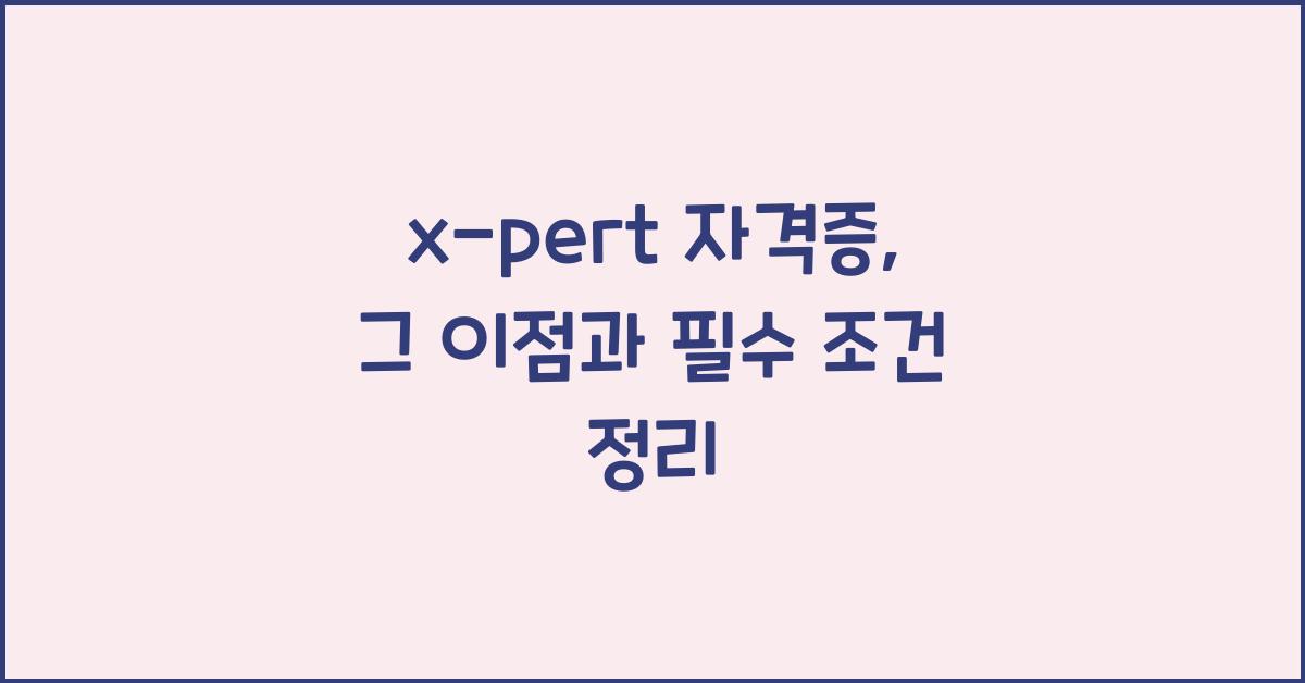 x-pert 자격증