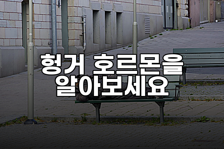 헝거 호르몬을 알아보세요