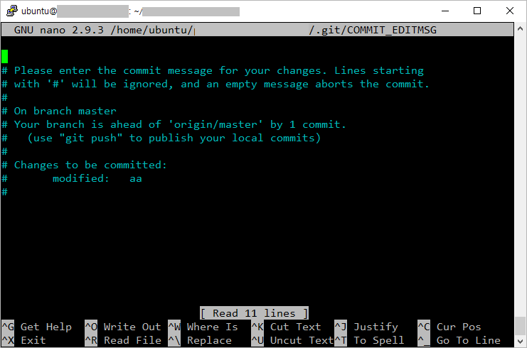 nano 에디터의 모습