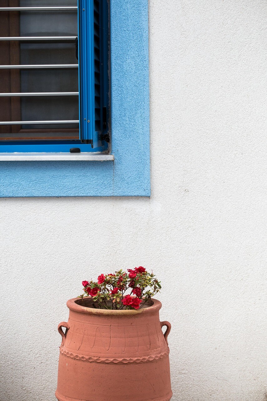 나의 반려 식물들과 교감해보기