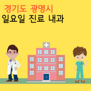 경기도 광명시 일요일 진료 내과