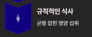 40대 다이어트 차