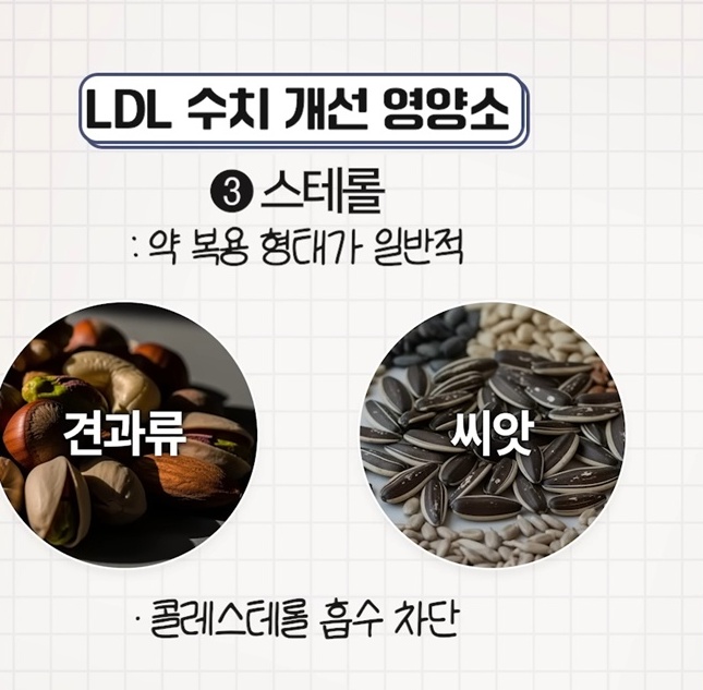 고지혈증약-꼭-먹어야하나